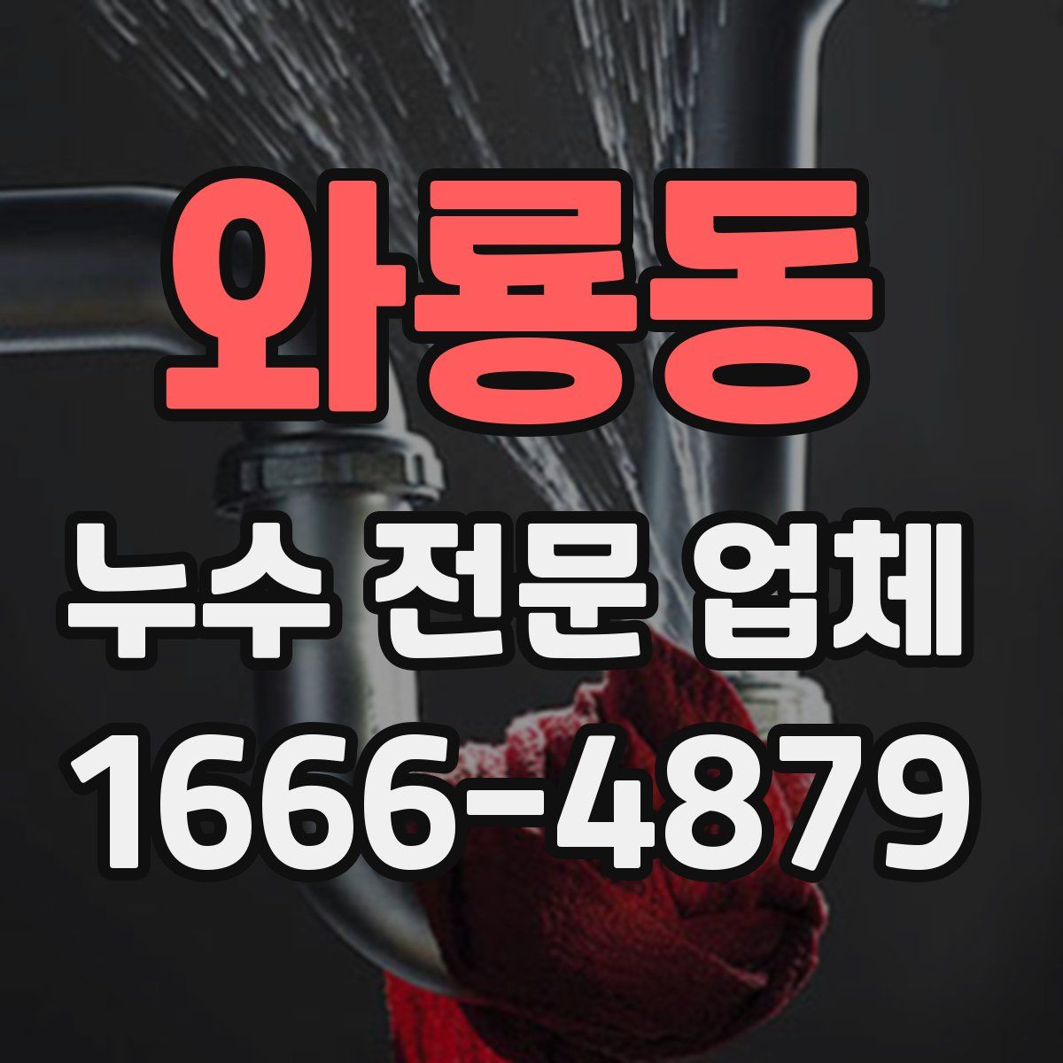 와룡동 누수 전문 업체