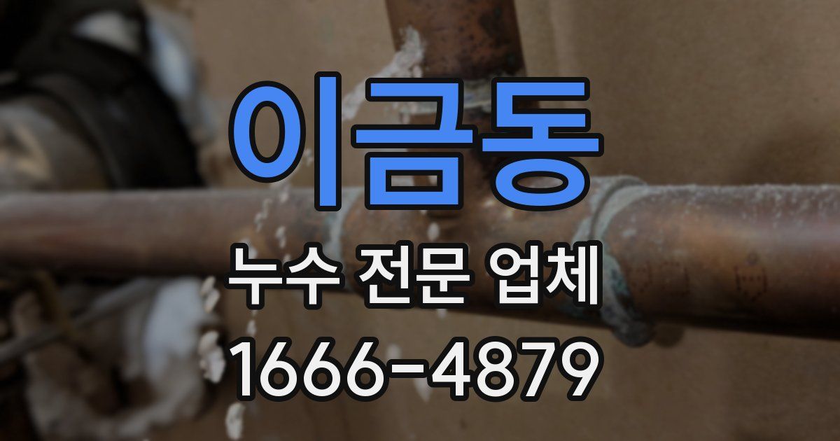 이금동 누수 전문 업체