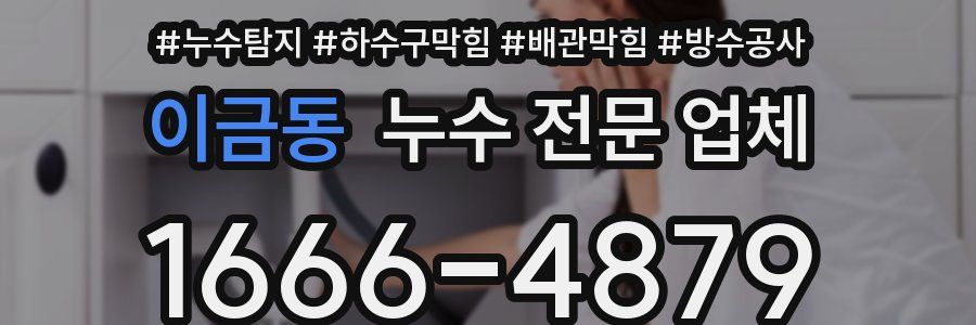 이금동 누수 전문 업체