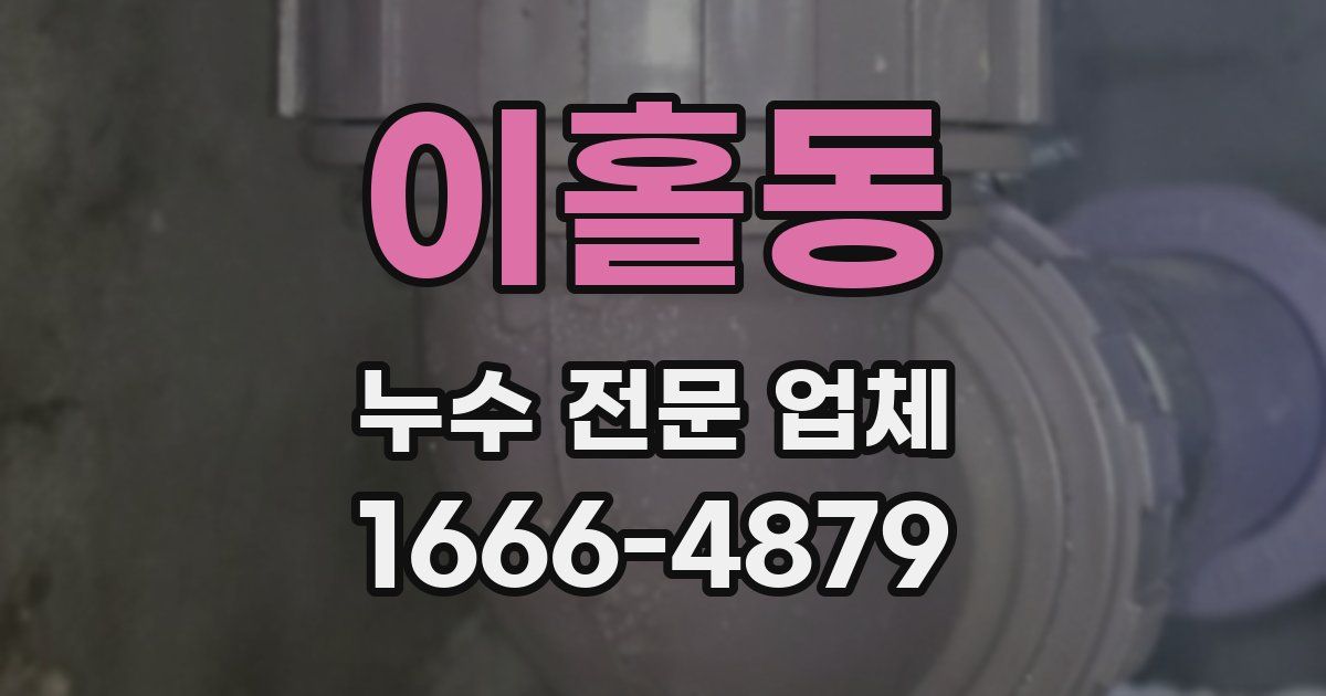 이홀동 누수 전문 업체