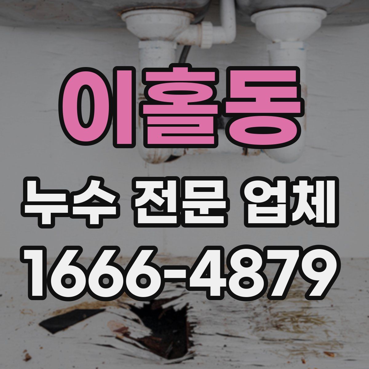 이홀동 누수 전문 업체