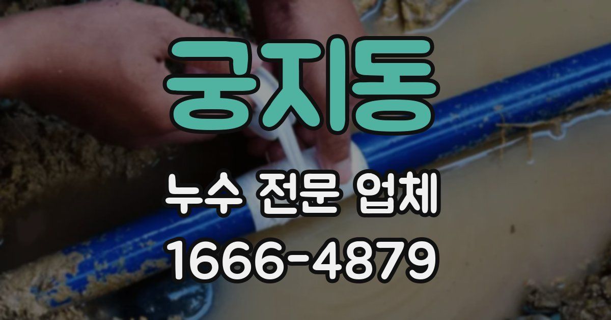궁지동 누수 전문 업체