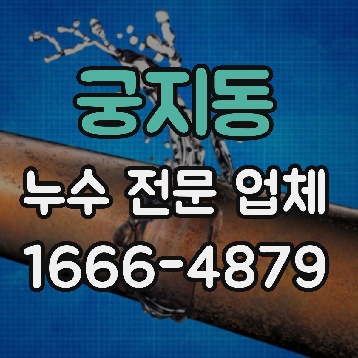 궁지동 누수 전문 업체