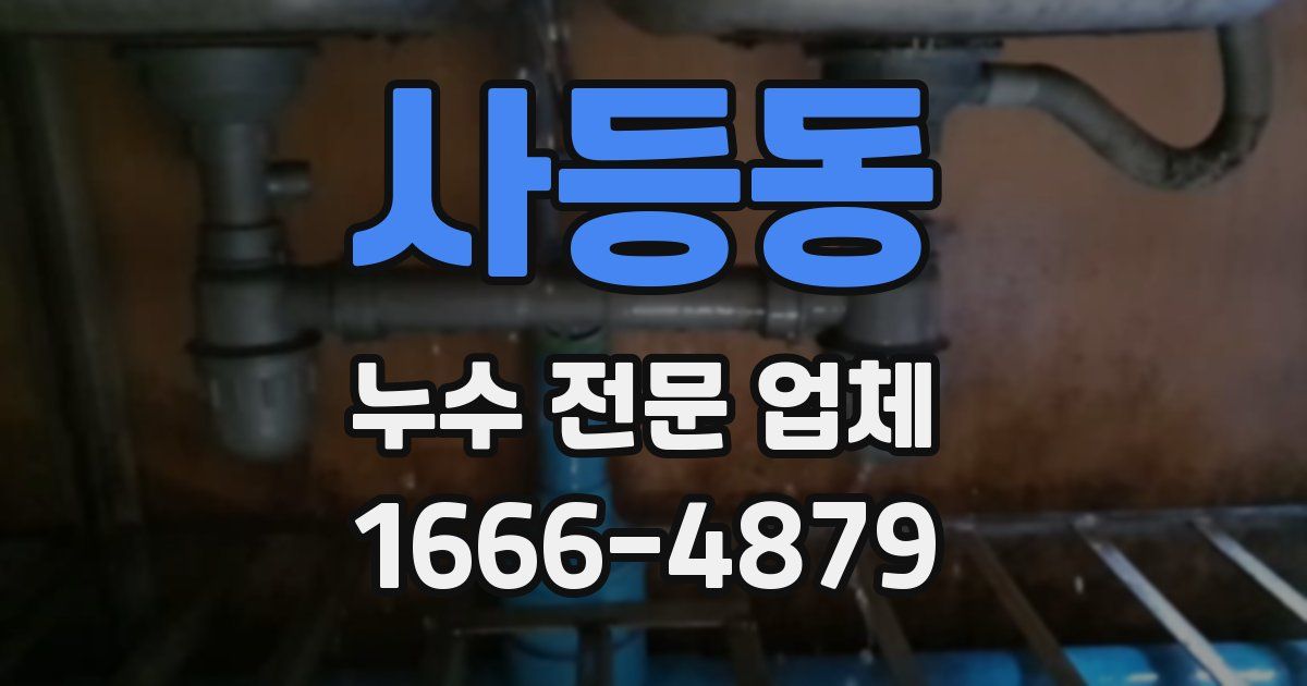 사등동 누수 전문 업체