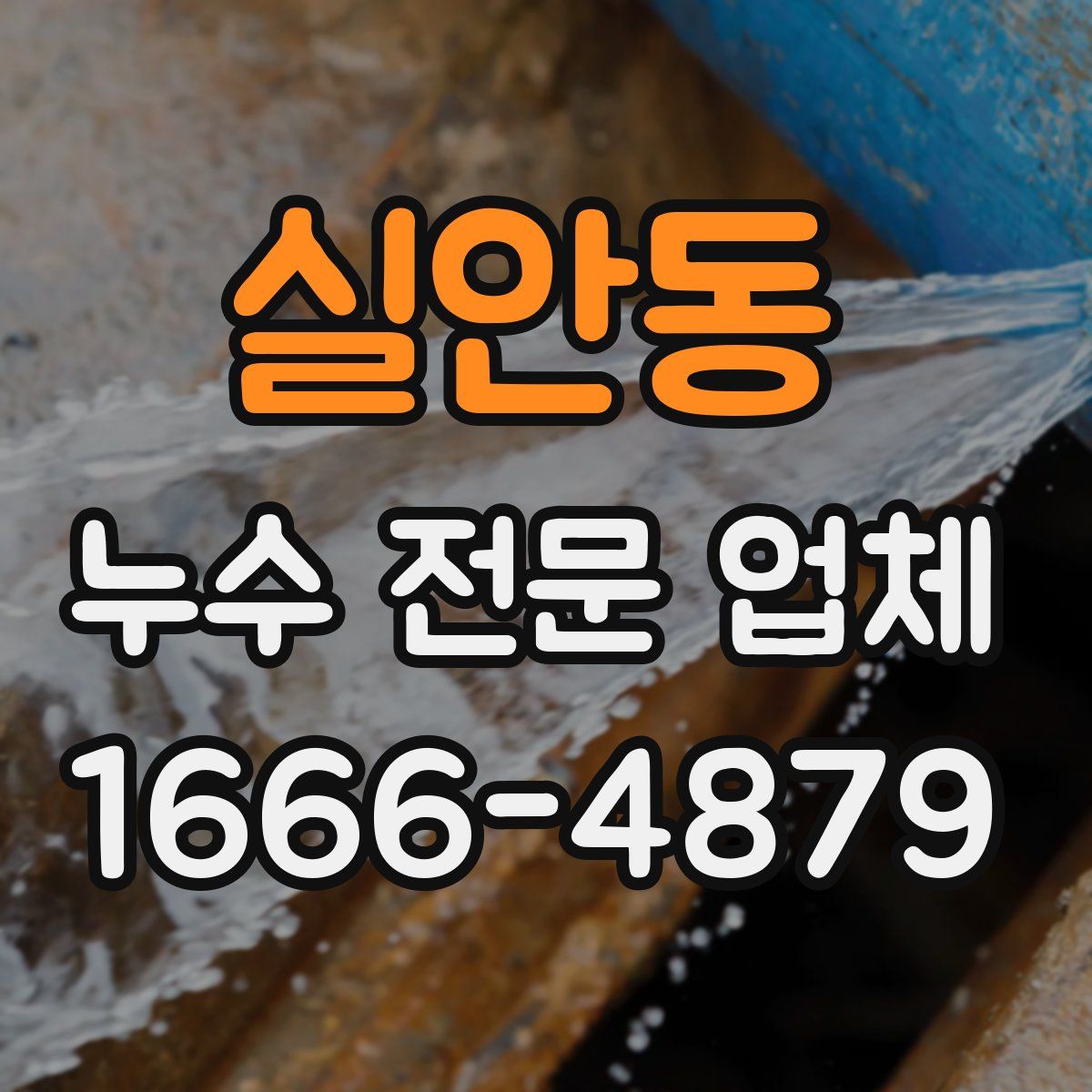 실안동 누수 전문 업체