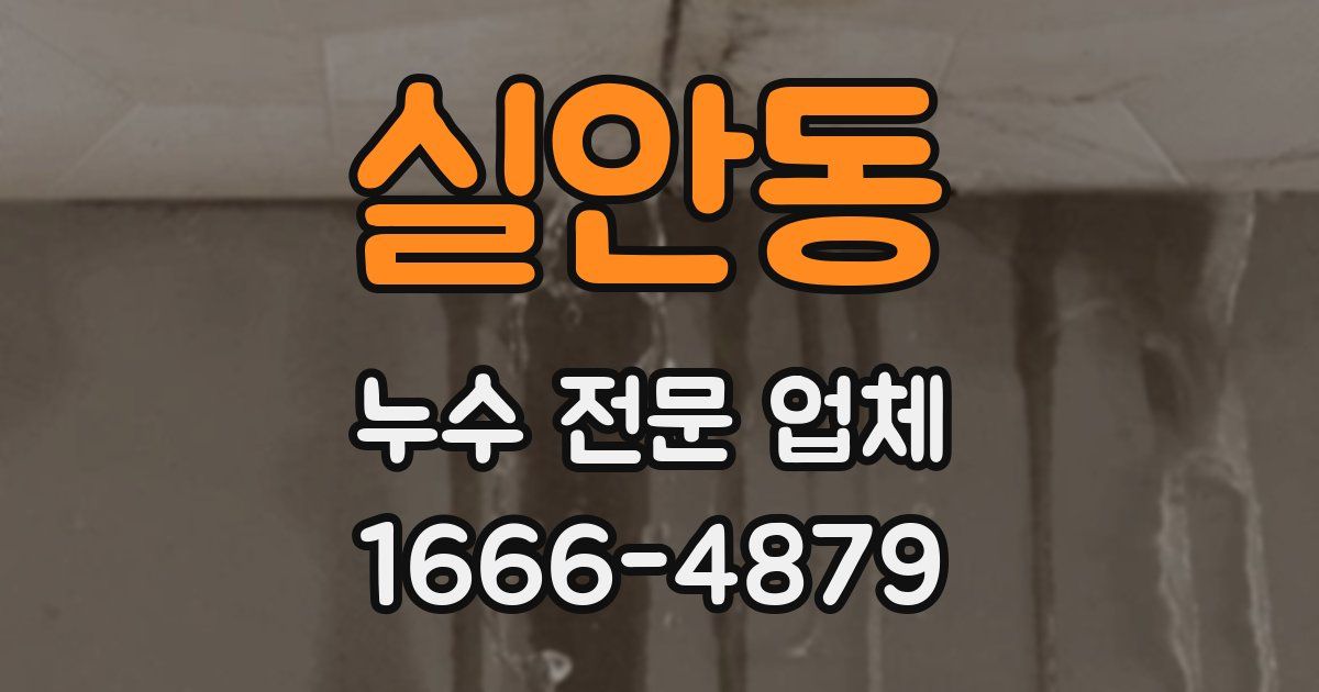 실안동 누수 전문 업체