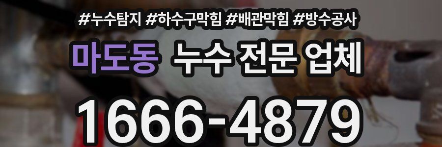 마도동 누수 전문 업체