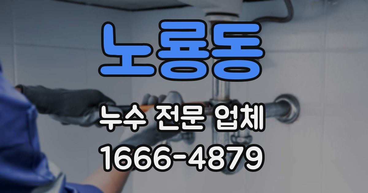 노룡동 누수 전문 업체