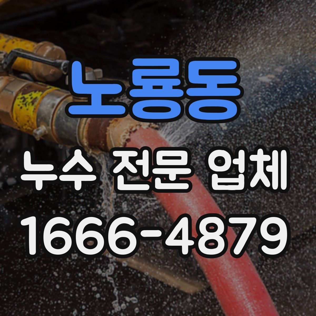 노룡동 누수 전문 업체