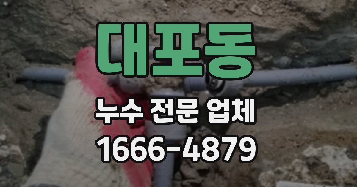 대포동 누수 전문 업체