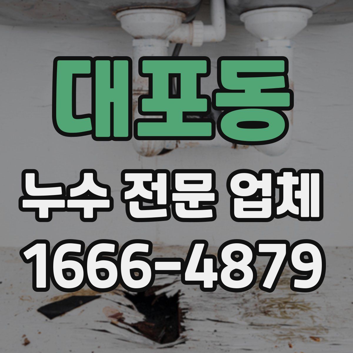 대포동 누수 전문 업체