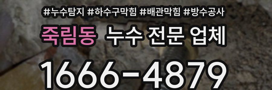 죽림동 누수 전문 업체