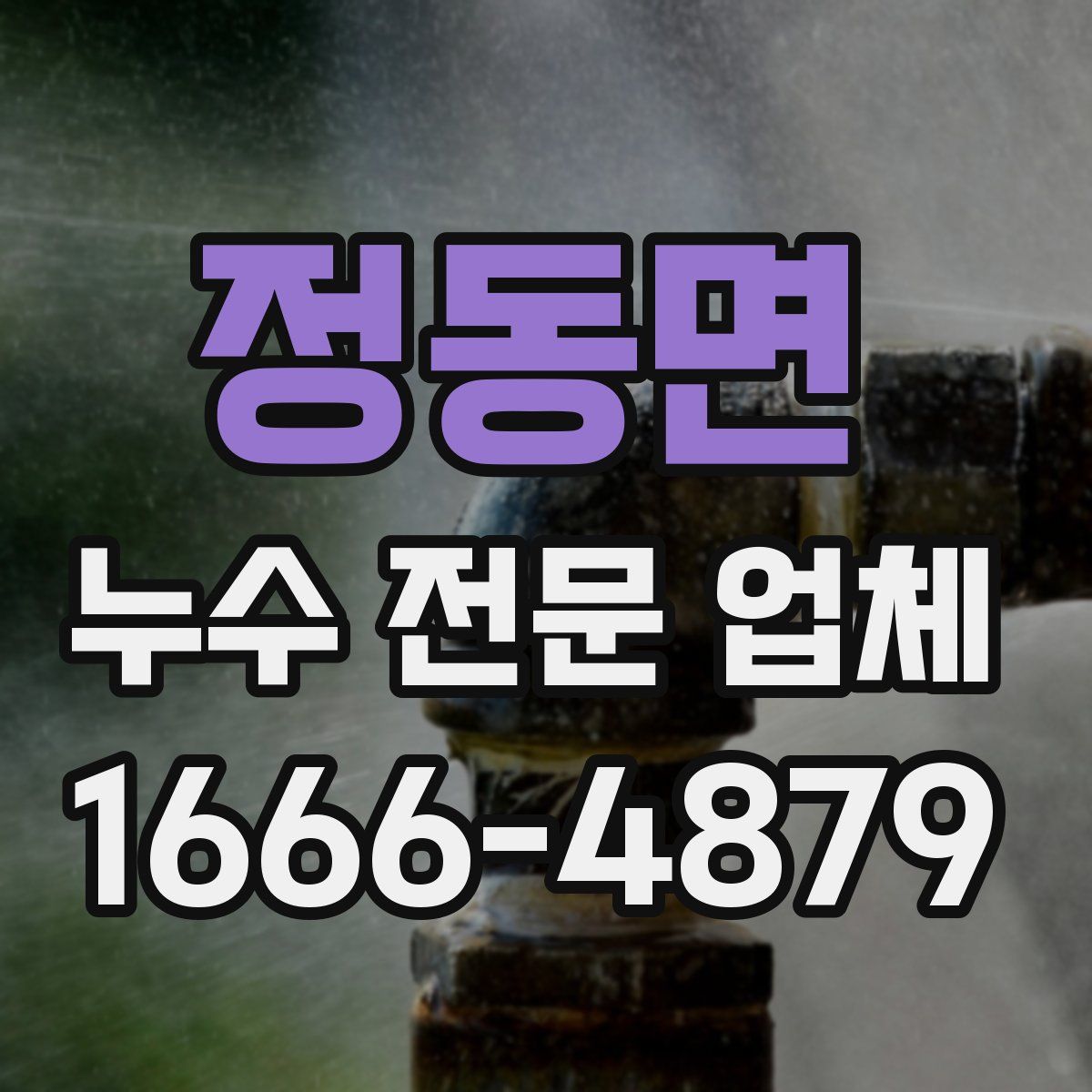정동면 누수 전문 업체