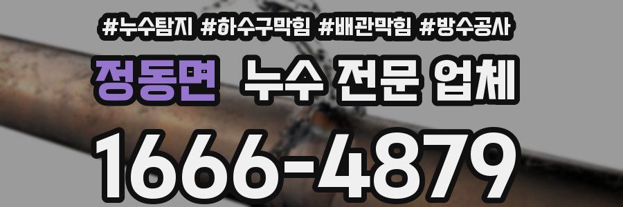 정동면 누수 전문 업체