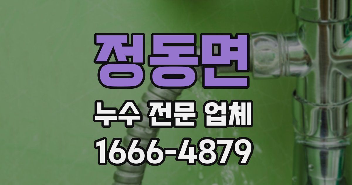 정동면 누수 전문 업체