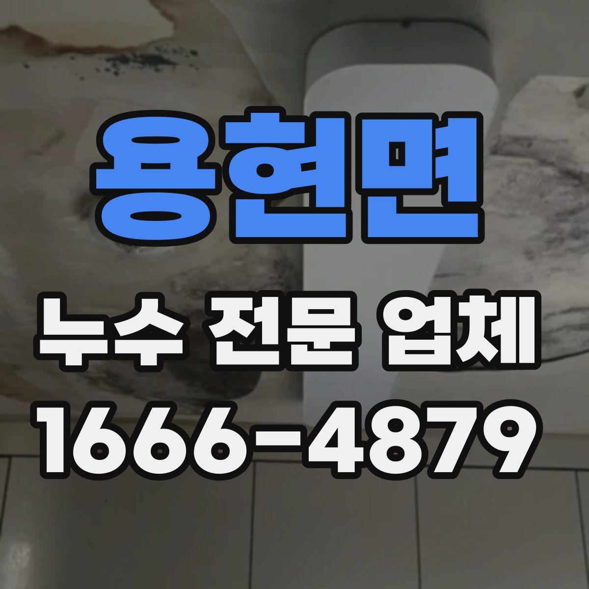 용현면 누수 전문 업체
