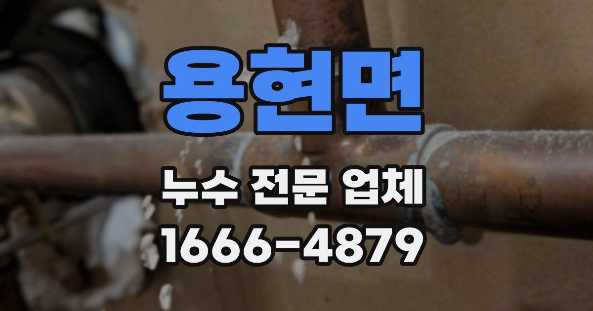 용현면 누수 전문 업체