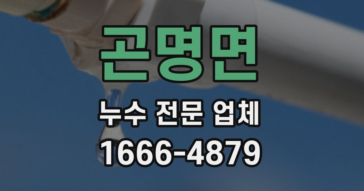 곤명면 누수 전문 업체