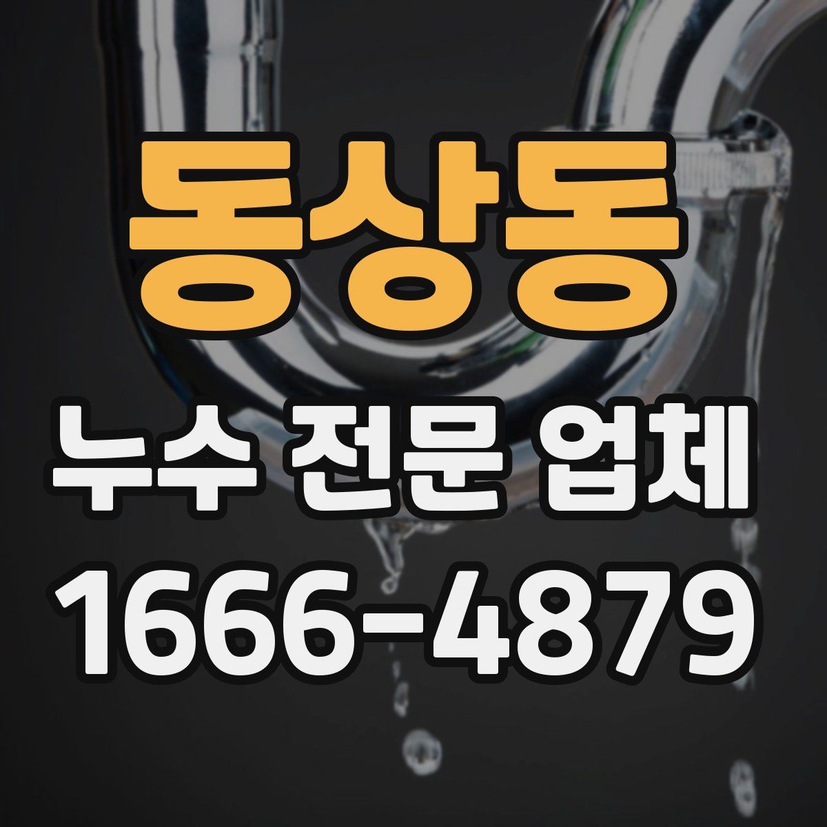 동상동 누수 전문 업체