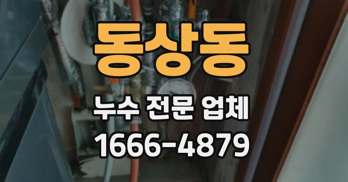 동상동 누수 전문 업체