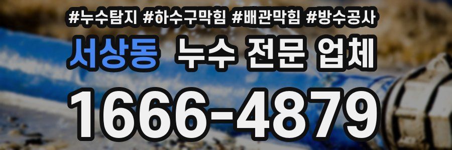 서상동 누수 전문 업체