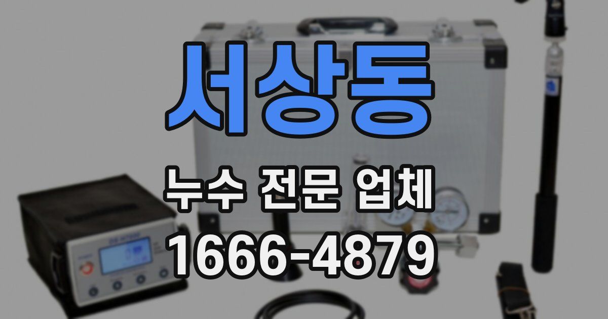 서상동 누수 전문 업체