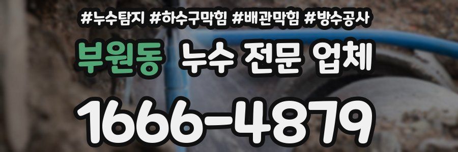 부원동 누수 전문 업체