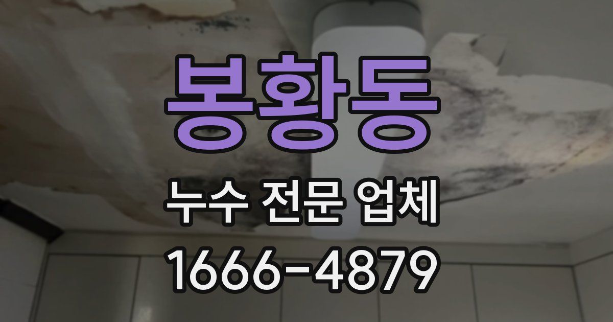 봉황동 누수 전문 업체