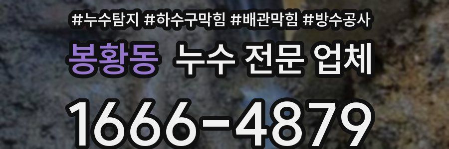 봉황동 누수 전문 업체