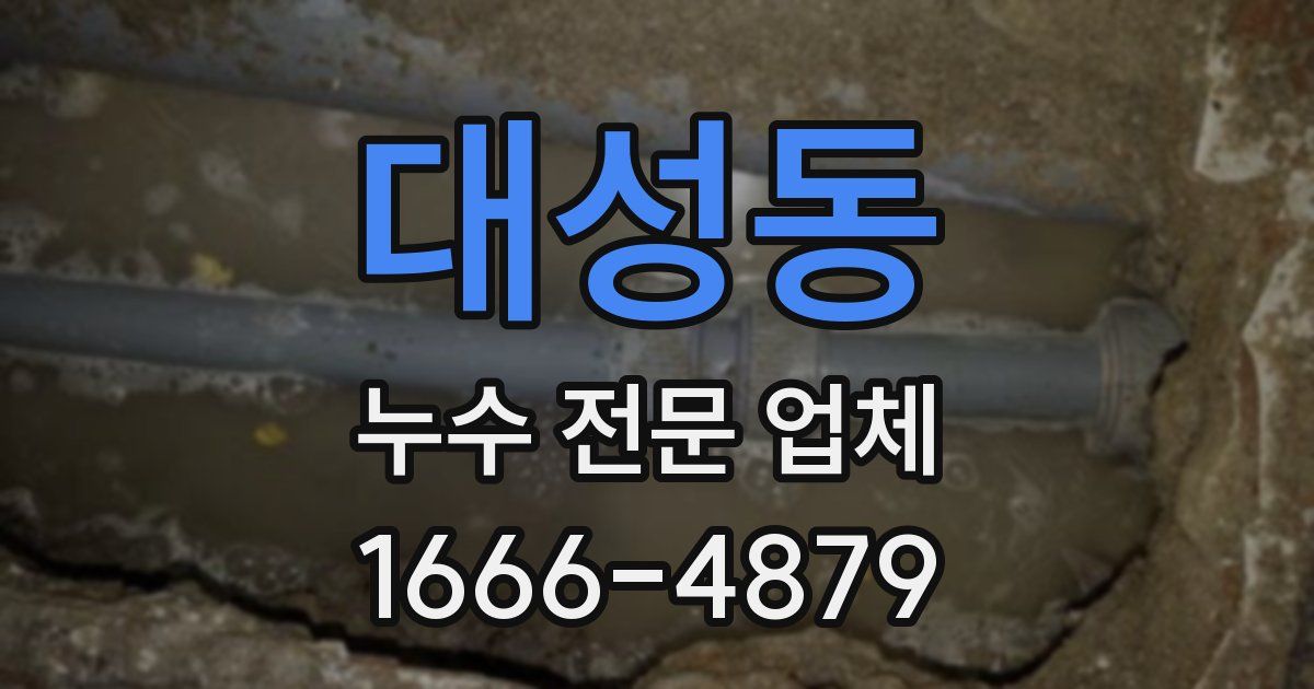 대성동 누수 전문 업체