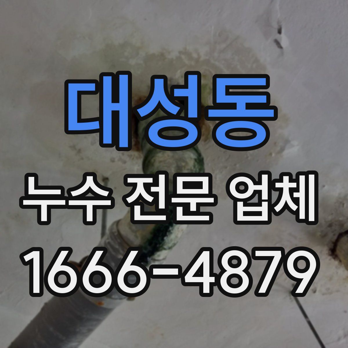 대성동 누수 전문 업체