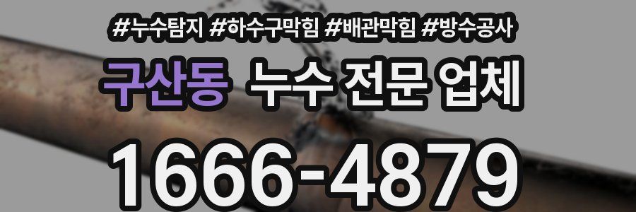 구산동 누수 전문 업체