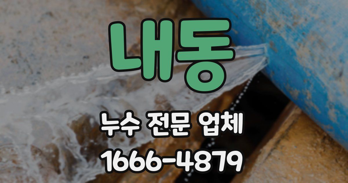 내동 누수 전문 업체