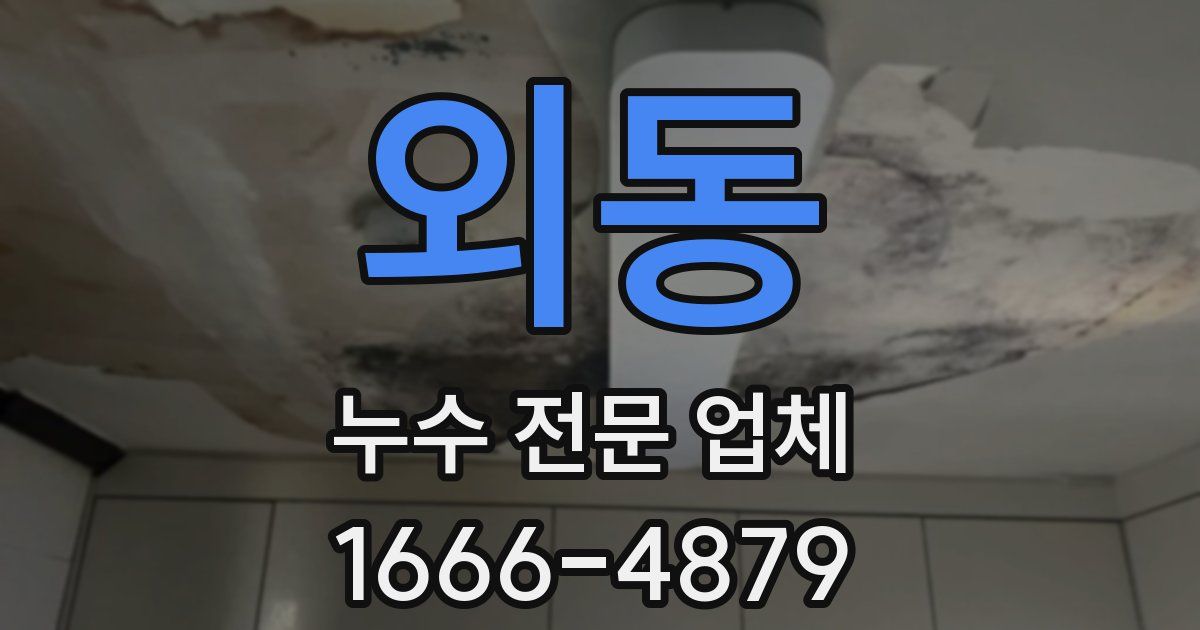 외동 누수 전문 업체