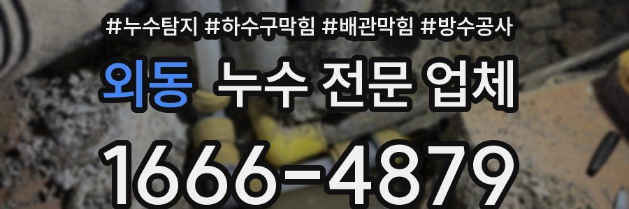 외동 누수 전문 업체