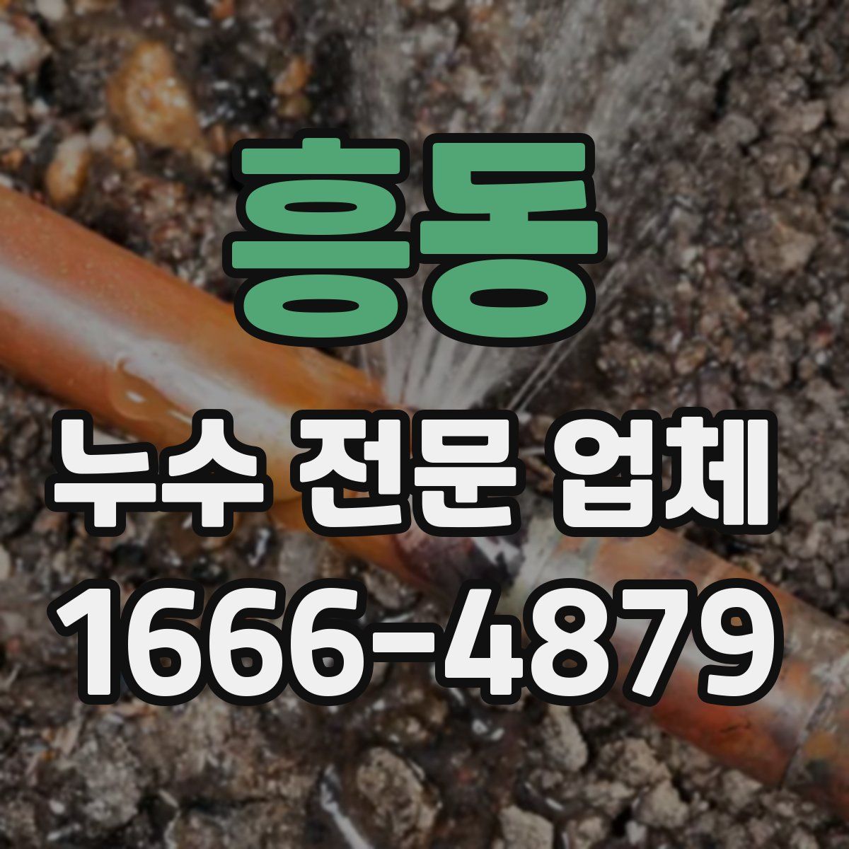 흥동 누수 전문 업체