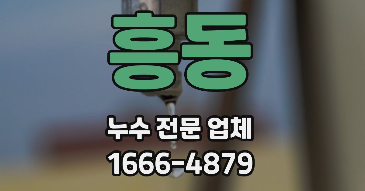 흥동 누수 전문 업체