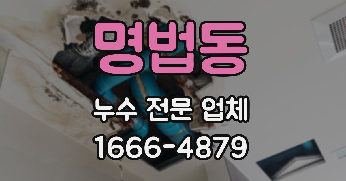 명법동 누수 전문 업체
