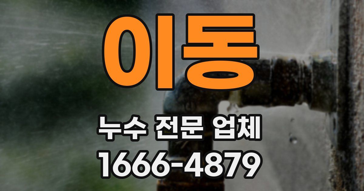 이동 누수 전문 업체