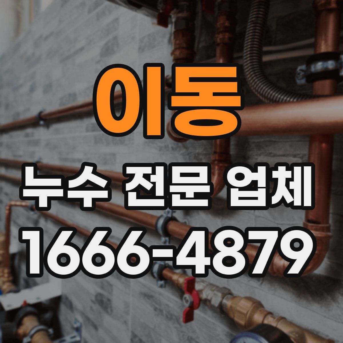 이동 누수 전문 업체