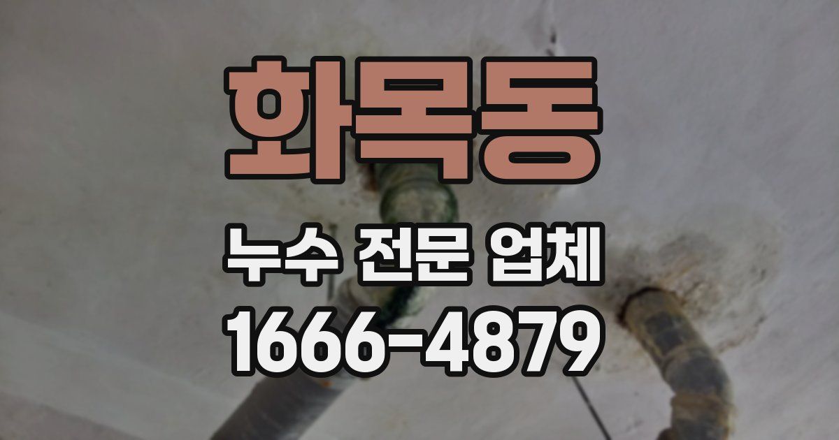 화목동 누수 전문 업체