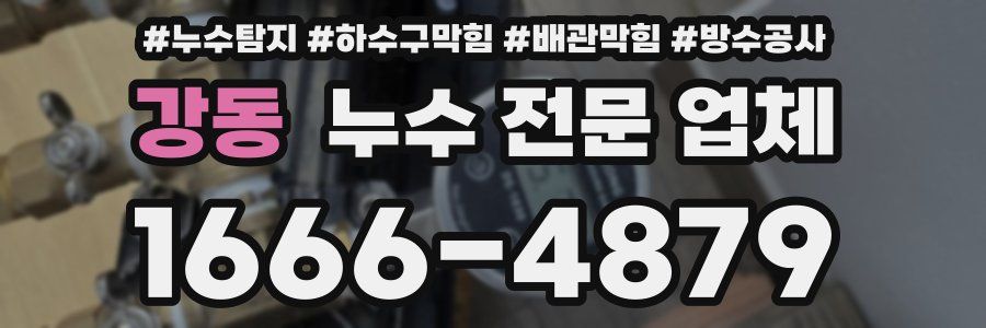 강동 누수 전문 업체