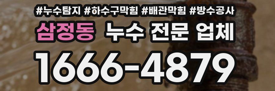 삼정동 누수 전문 업체