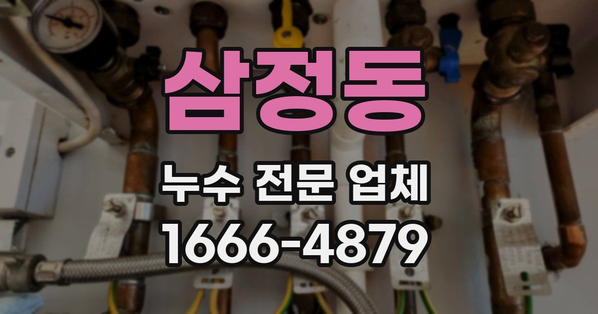 삼정동 누수 전문 업체