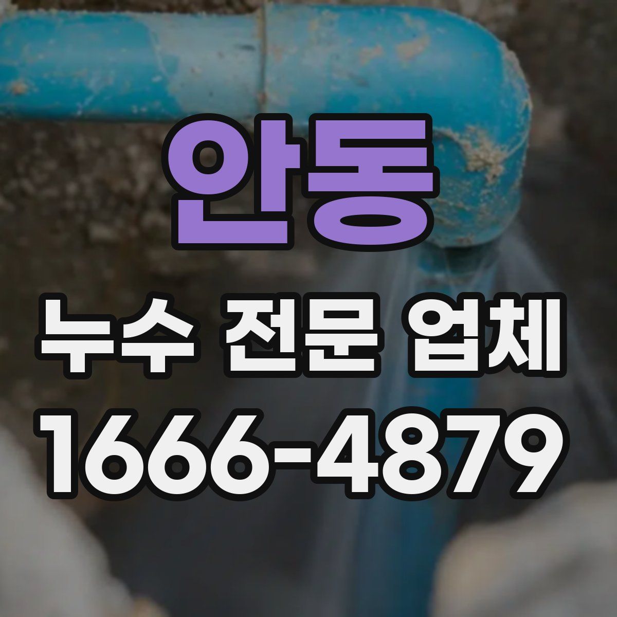 안동 누수 전문 업체