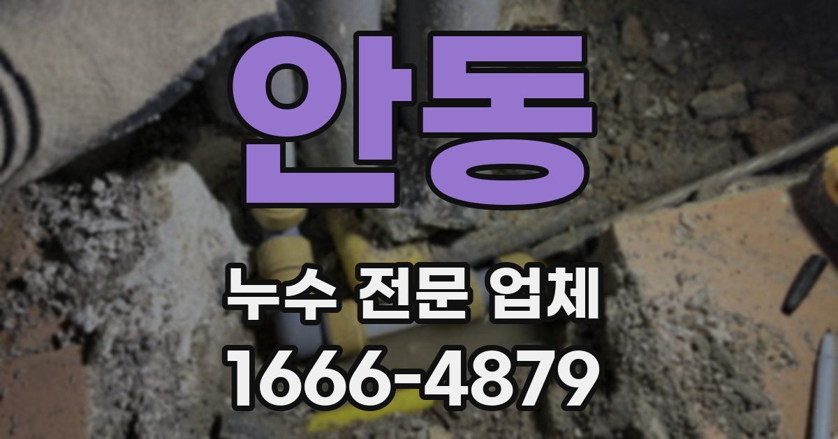 안동 누수 전문 업체