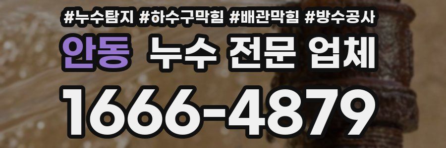 안동 누수 전문 업체