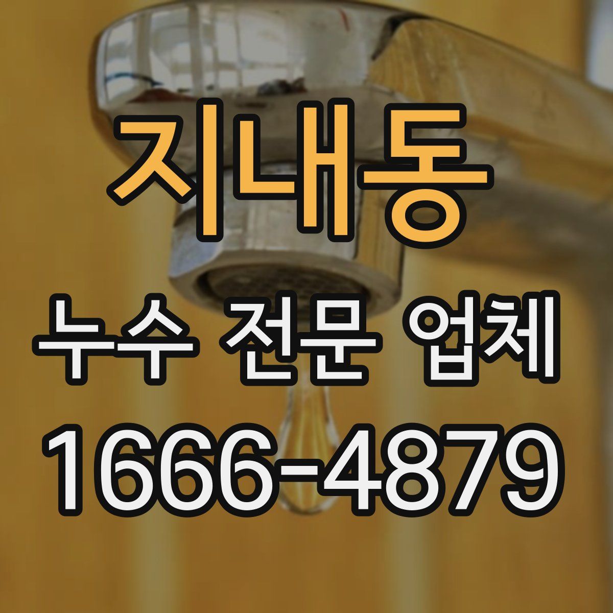지내동 누수 전문 업체