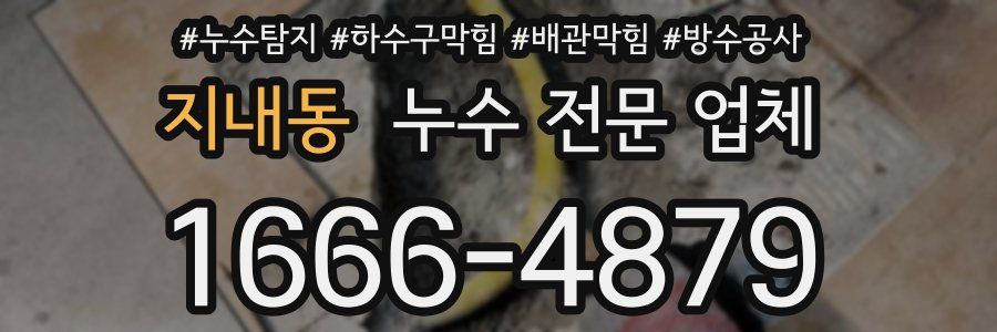 지내동 누수 전문 업체