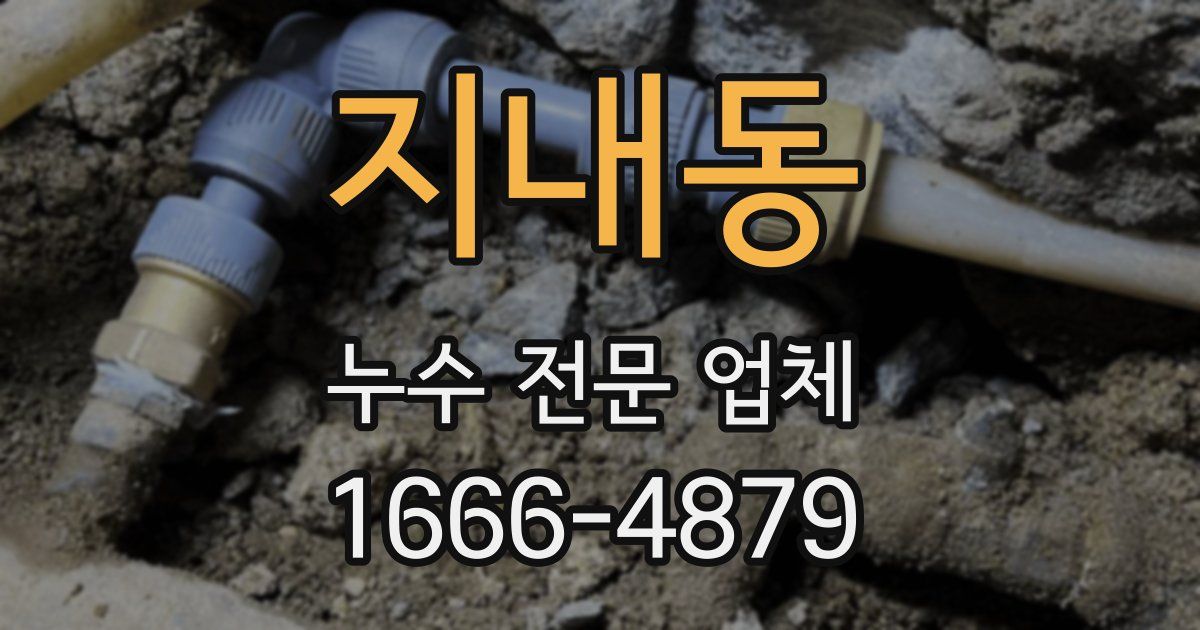 지내동 누수 전문 업체